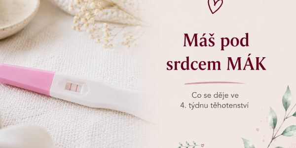 4. týden těhotenství, aneb máte pod srdcem „mák“