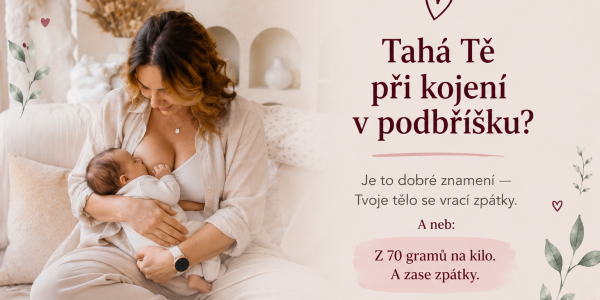   Co se děje s dělohou od porodu až do konce šestinedělí