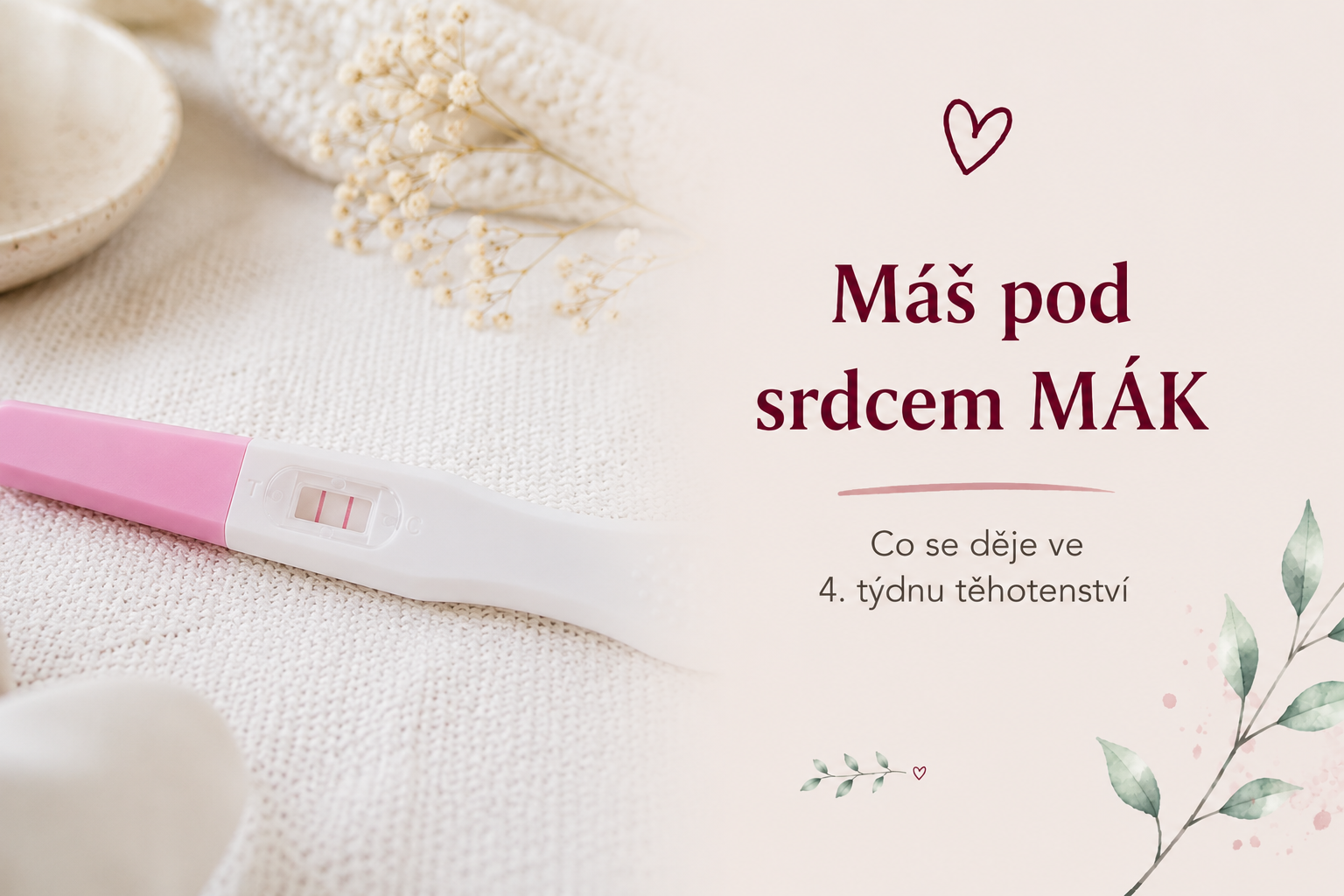 4. týden těhotenství, aneb máte pod srdcem „mák“